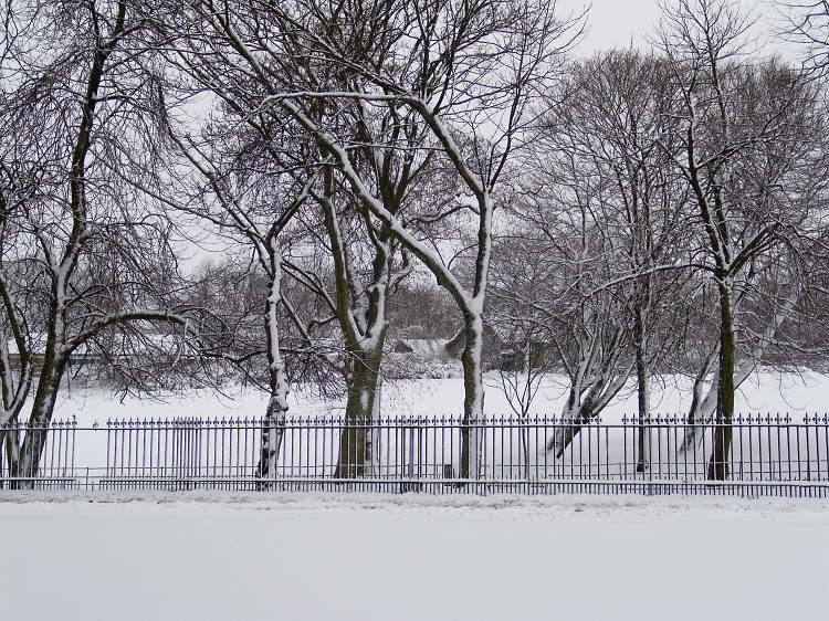 Queen's Park Railings