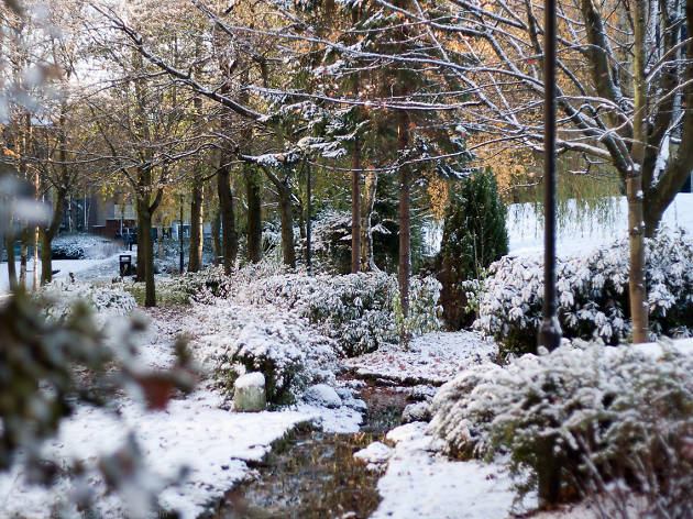 Woodland City Woodland City