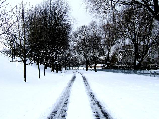Tracks in snow Tracks in snow