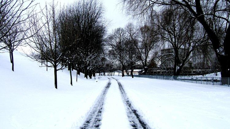 Tracks in snow