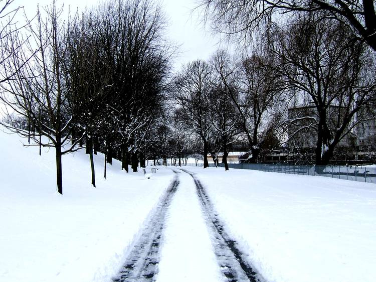 Tracks in snow