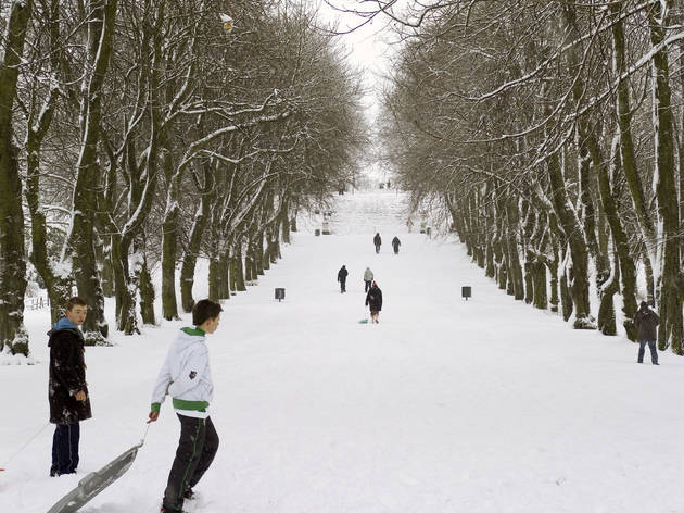 Queen's Park sledgers Queen's Park sledgers