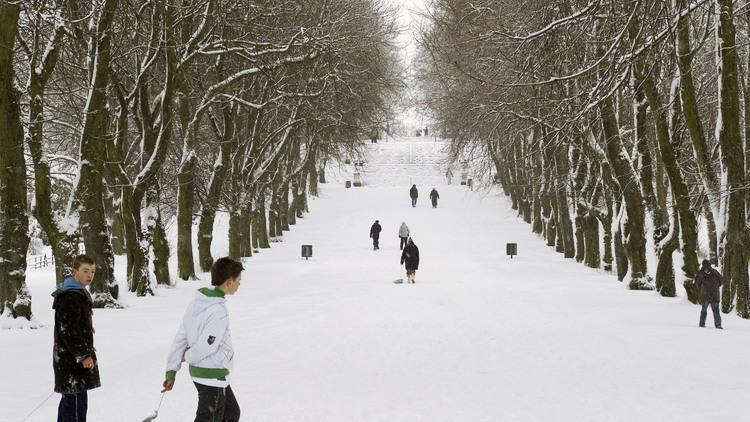 Queen's Park sledgers