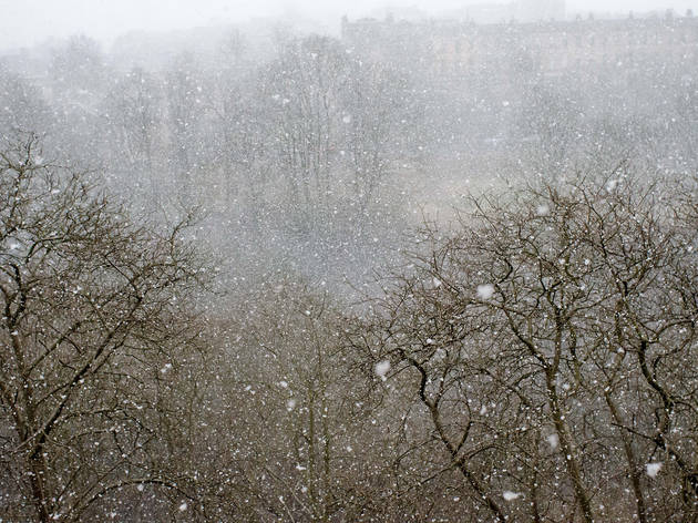 Snowy Kelvinside Snowy Kelvinside