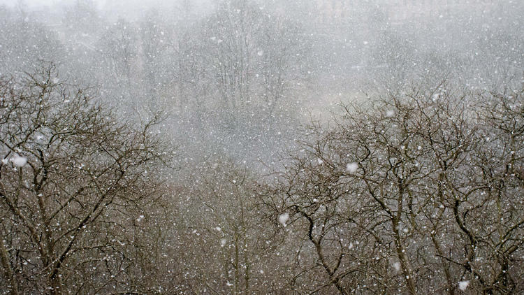 Snowy Kelvinside