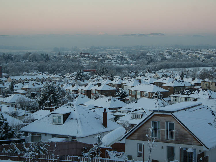 Snowy suburbs