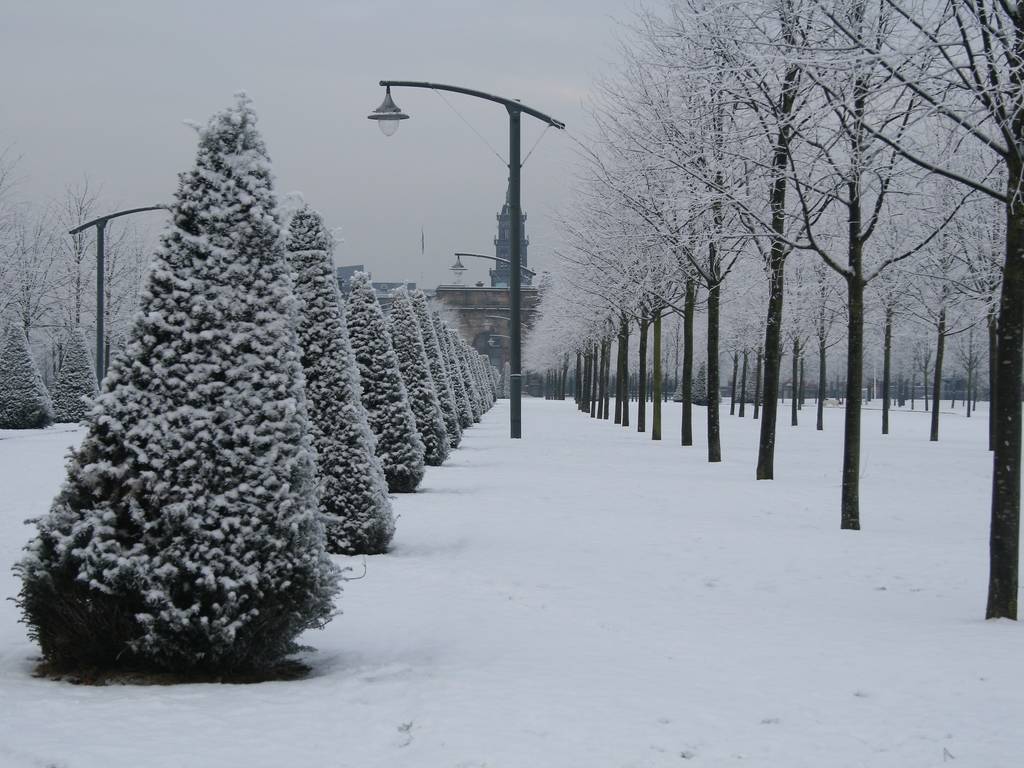 39 gorgeous pictures of Glasgow in the snow - Time Out Glasgow