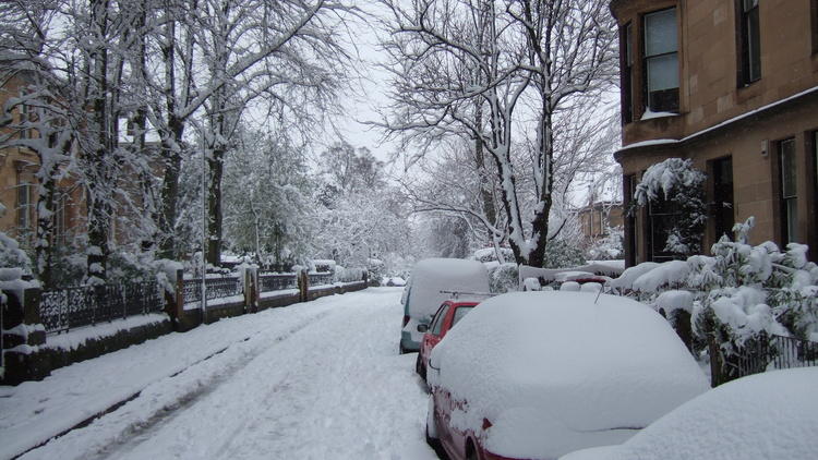 Snow-covered cars