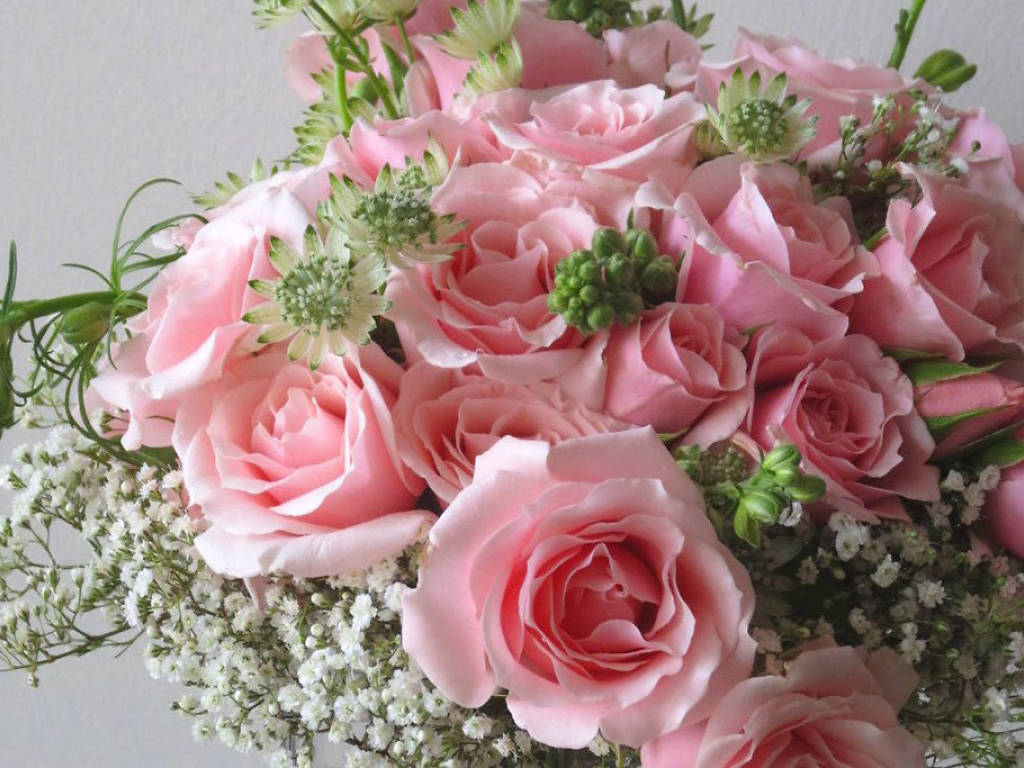 Top florist picks in Washington DC best DC flower shops