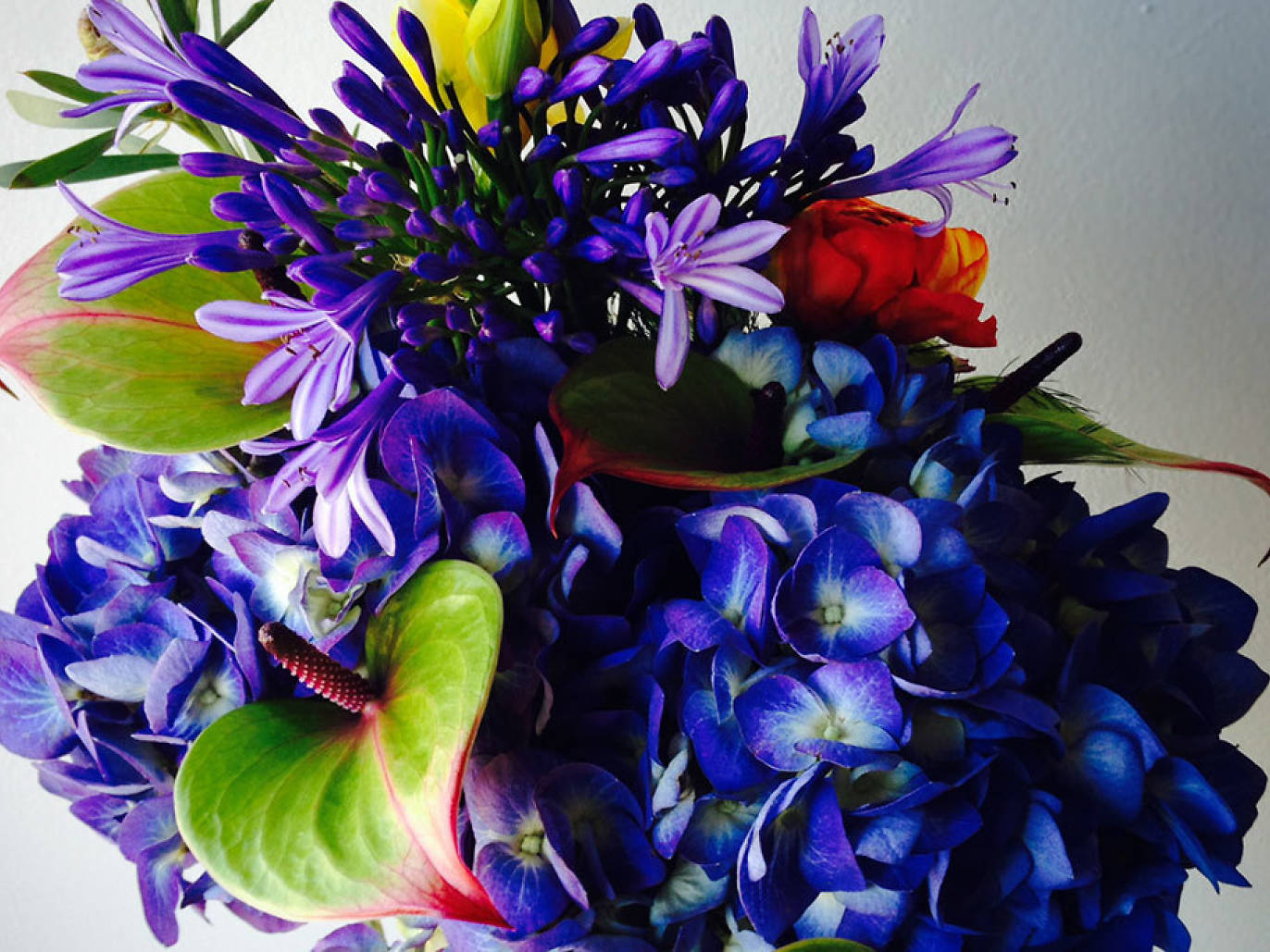 Top florist picks in Washington DC best DC flower shops