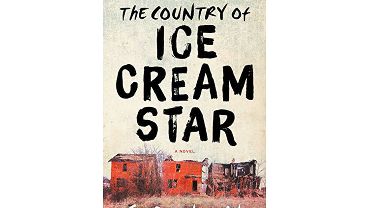 The Country of Ice Cream Star by Sandra Newman (Ecco, $26.99)