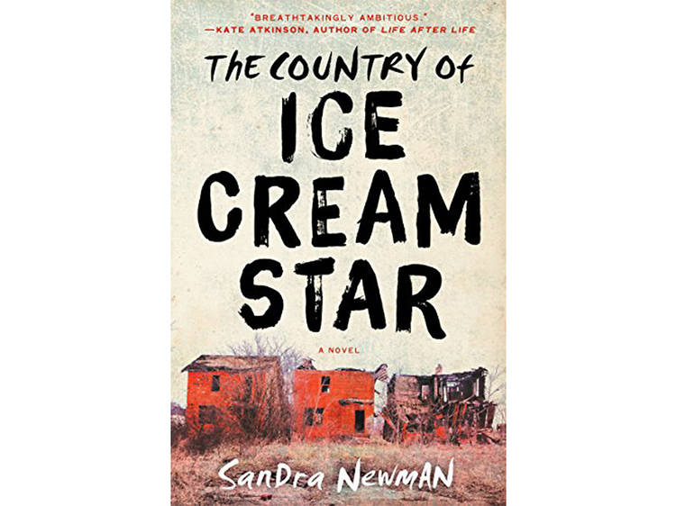 The Country of Ice Cream Star by Sandra Newman (Ecco, $26.99)