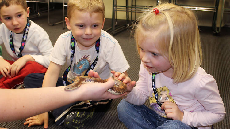 Zoo Camp at the Lincoln Park Zoo