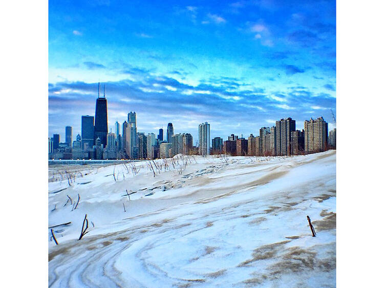 Chicago looks beautiful when frozen solid