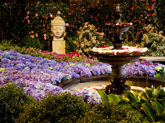 Chicago Flower Garden Show Navy Pier Chicago Il Things To