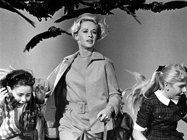 Tippi Hedren Tippi Hedren