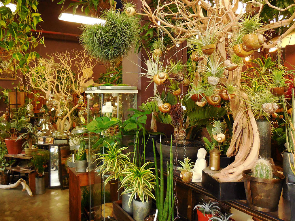 10 Best Florists in San Francisco for Fresh Bouquets or Delivery