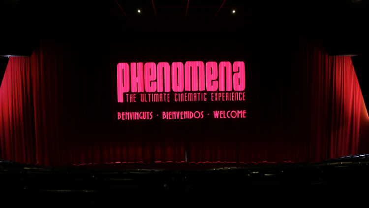 Phenomena