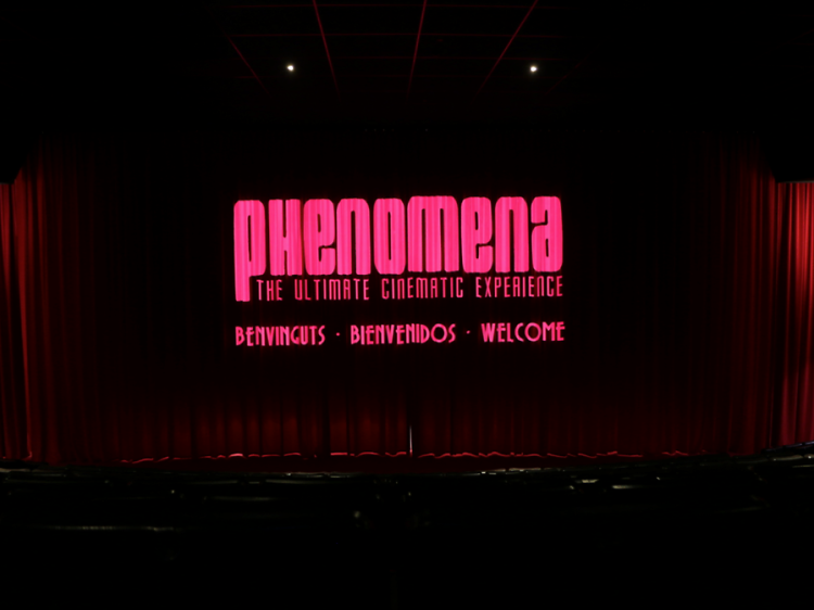 Tarda al Phenomena