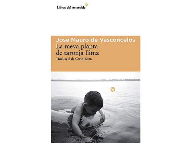 La meva planta de taronja llima La meva planta de taronja llima