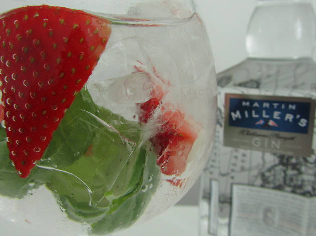 Martin Miller's gin / Gintimate Martin Miller's gin / Gintimate