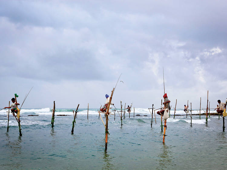 Stilt Fishing