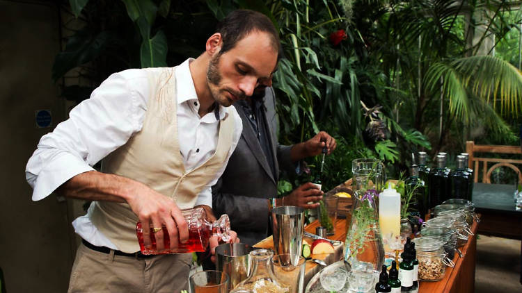 Plantasia press launch in Gin and Tonic Garden