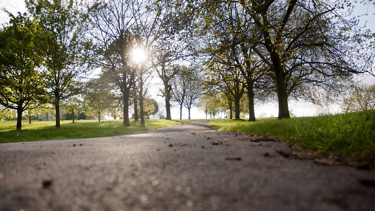 Brockwell Park, Lambeth