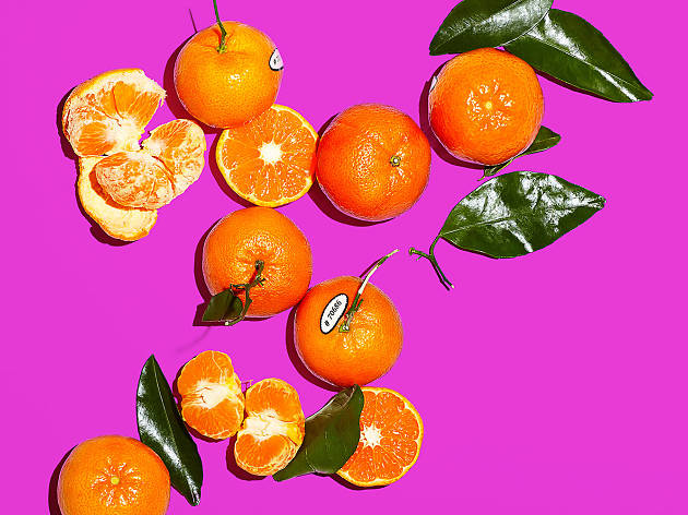 Bitten: A Food Conversation Bitten: A Food Conversation