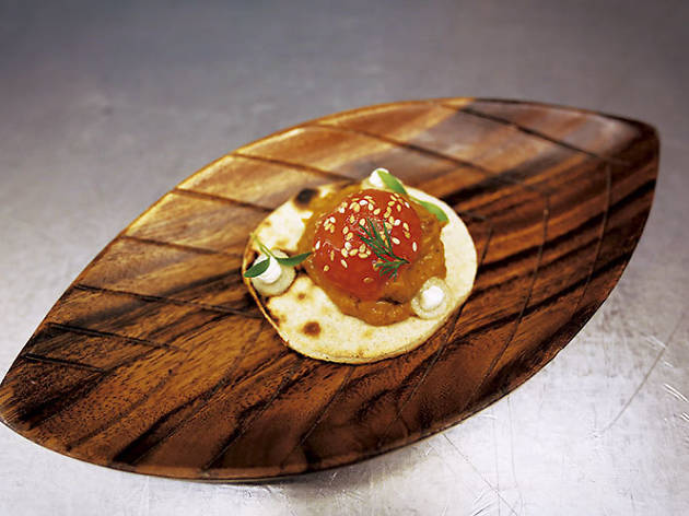 Tandoor Tandoor