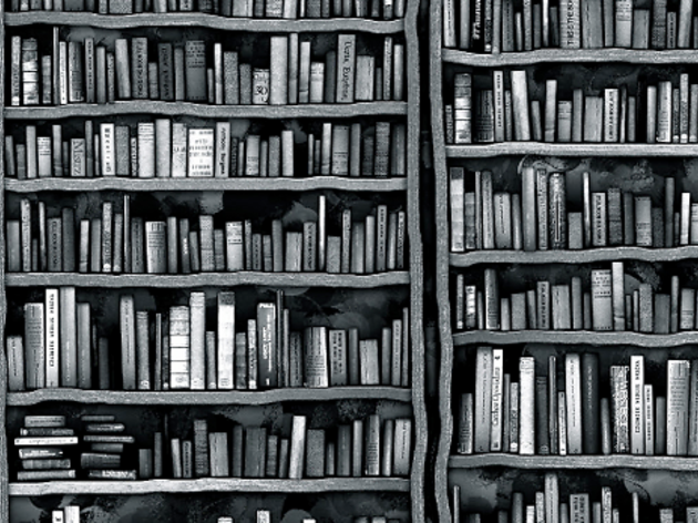 llibres llibres