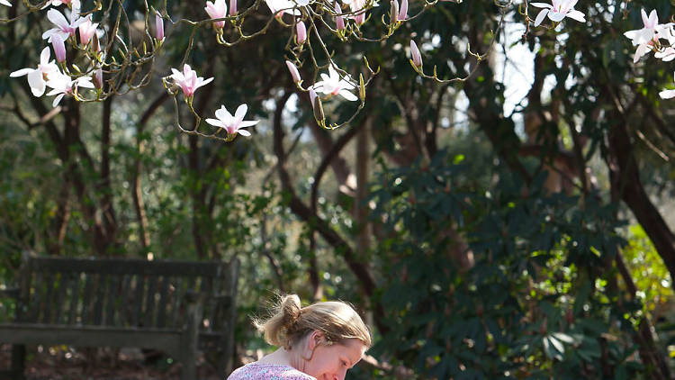 Osterley Park, National Trust, Mother's Day