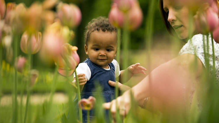 Mother's Day, Ham House, child, flowers
