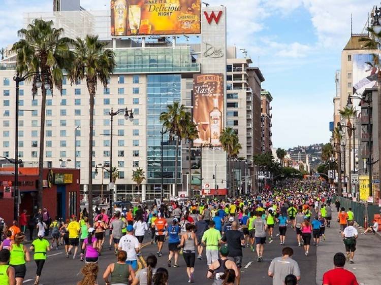 Runners fill the streets of Hollywood at last year's 2014 LA Marathon