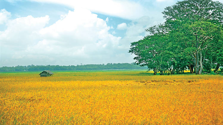 Panama is a village in the east coast