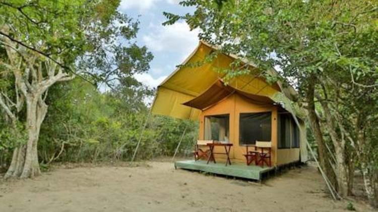 WildTrails - Yala, Tented Safari Camp