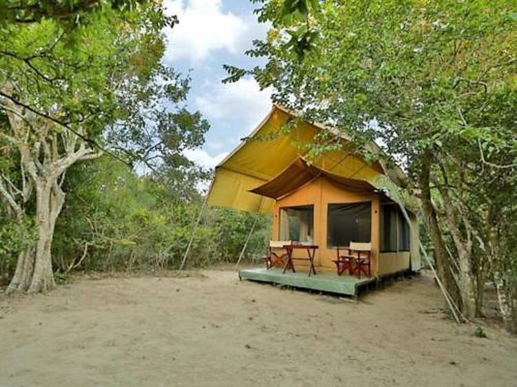 WildTrails - Yala, Tented Safari Camp