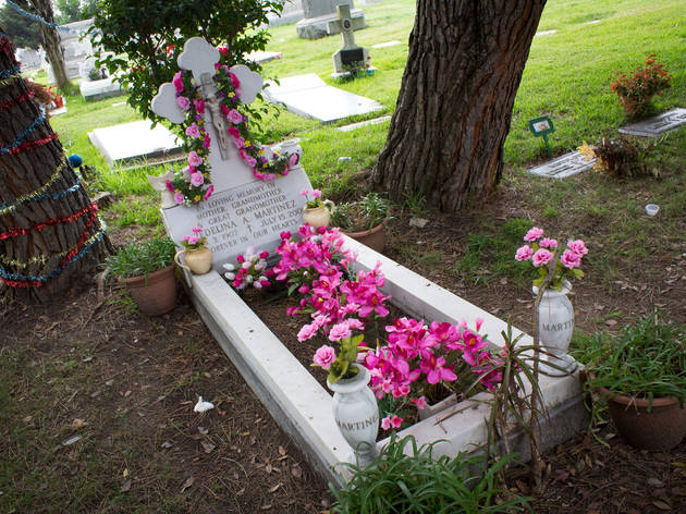 (Photograph: Michael Juliano)
