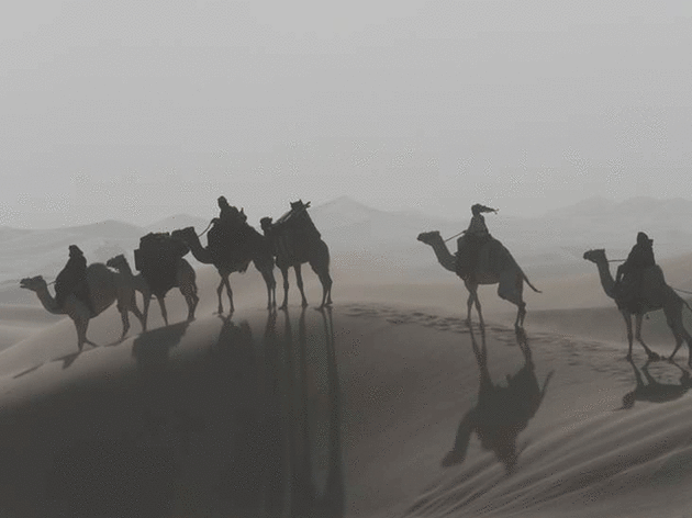Queen of the Desert Queen of the Desert