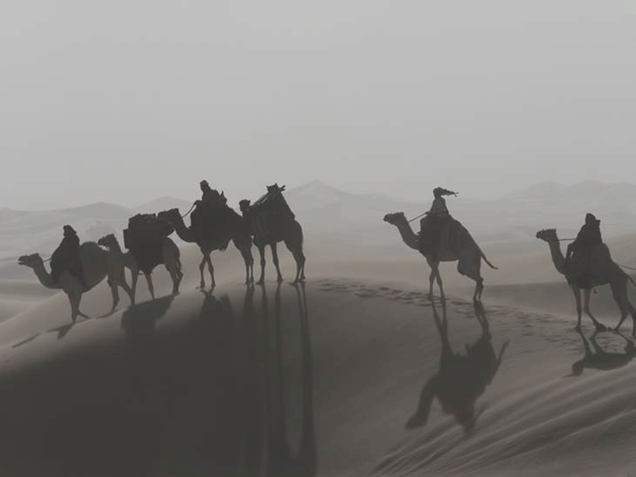 Queen of the Desert 2015, directed by Werner Herzog Film review