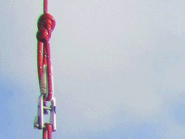 The Pearl Button The Pearl Button