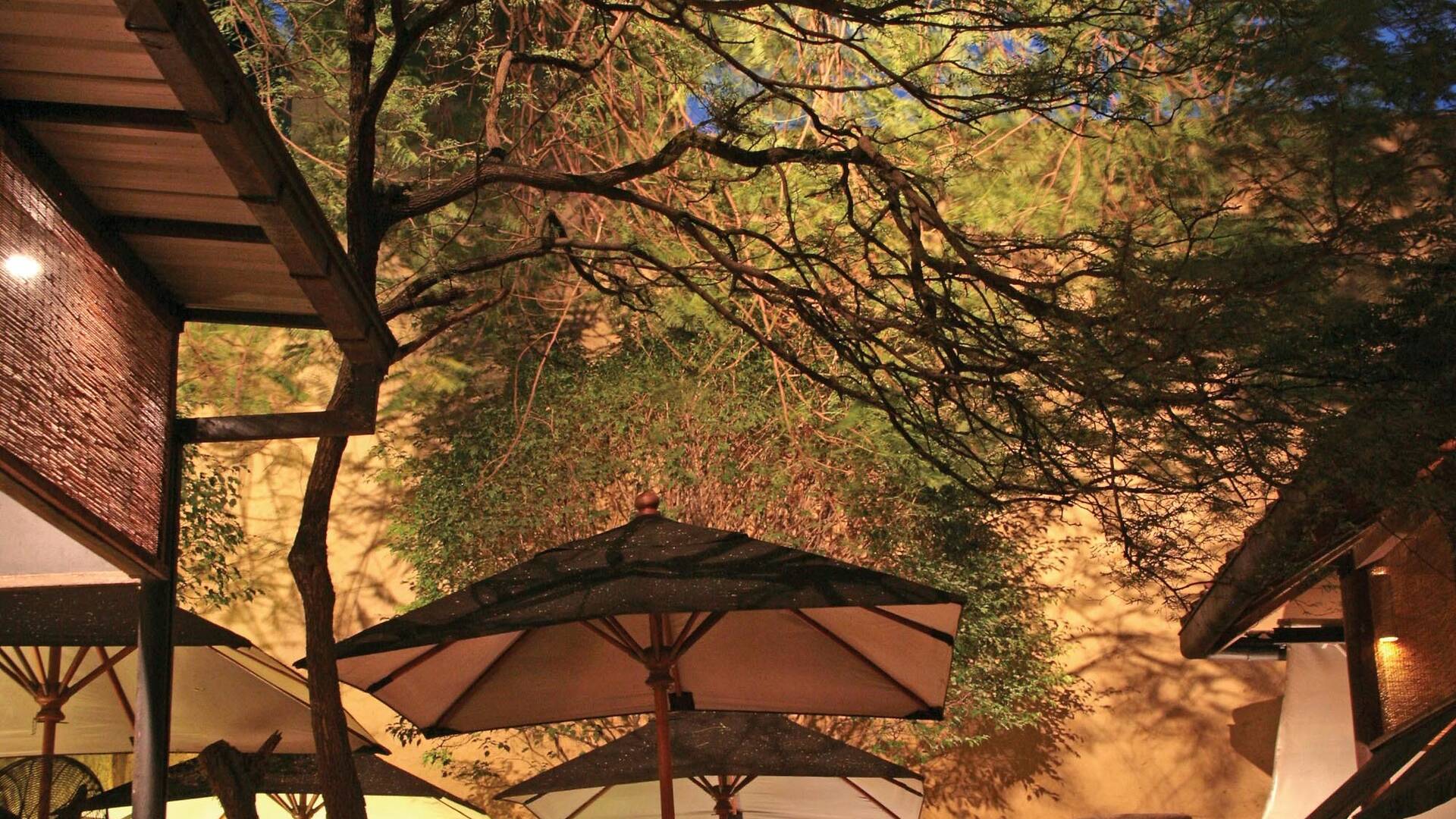 The Gallery Café | Restaurants in Colombo 3, Sri Lanka