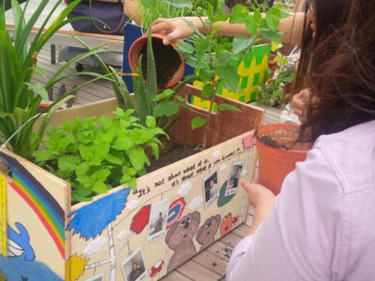 Edible Garden