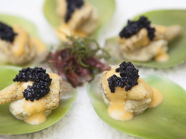 6 vegan restaurants that even carnivores will love Artichoke oysters at Crossroads