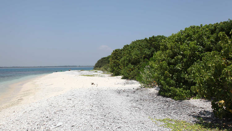 A marine national Park in Trincomalee