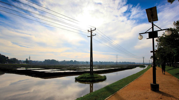 Kimbulawela Walking Tracks is a venue in Colombo