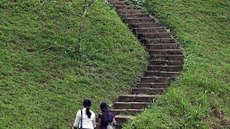 University of Peradeniya is a university in Kandy