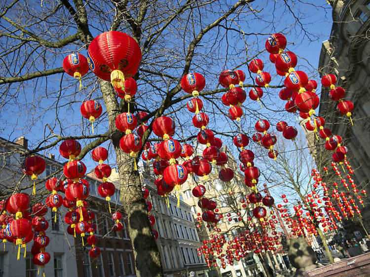 Chinese Lanterns