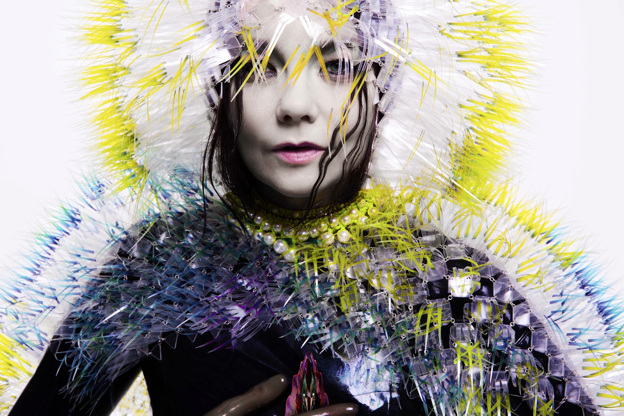 photoshoot bjork debut