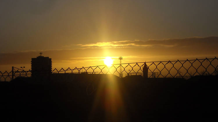 Through the fence